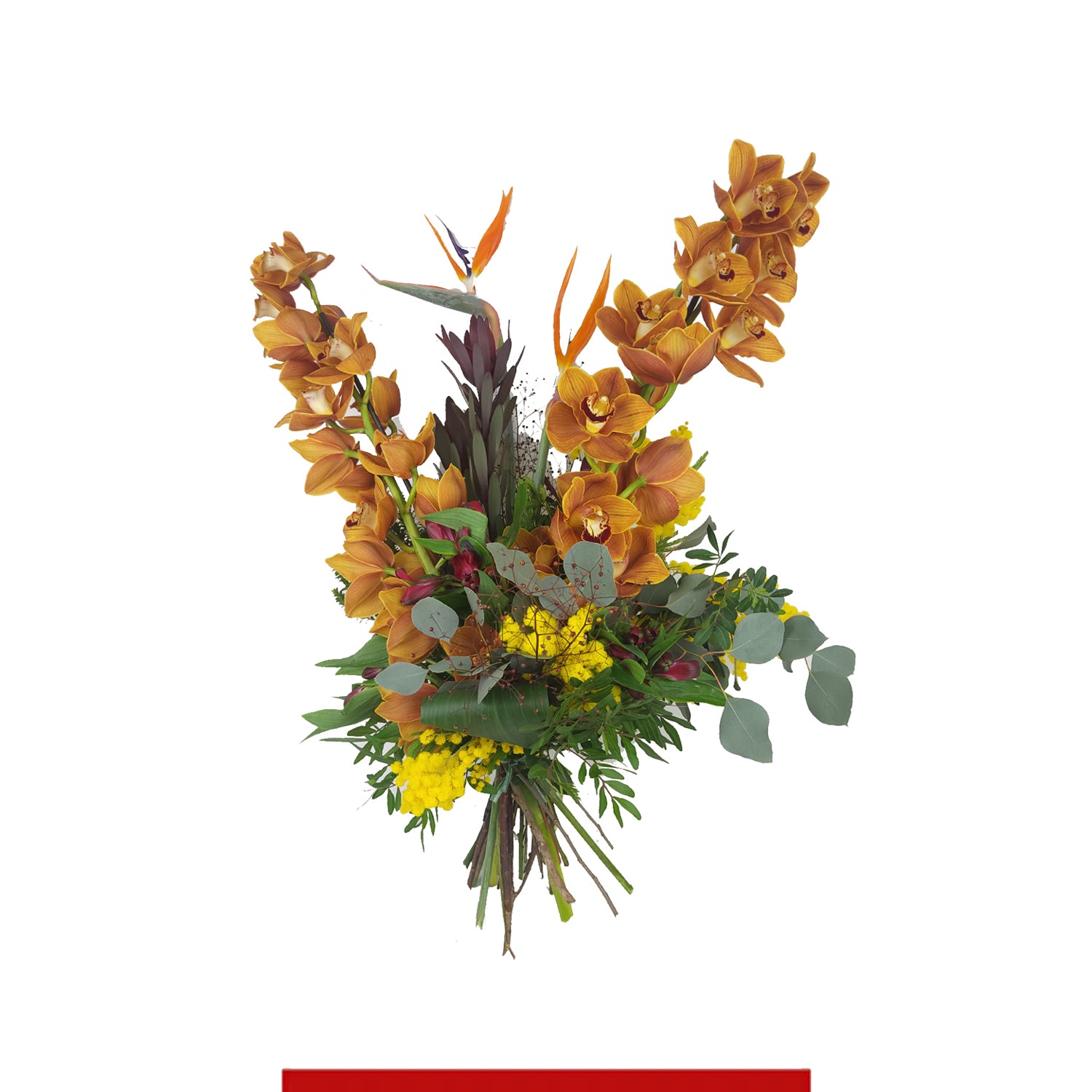 Fiori Vip