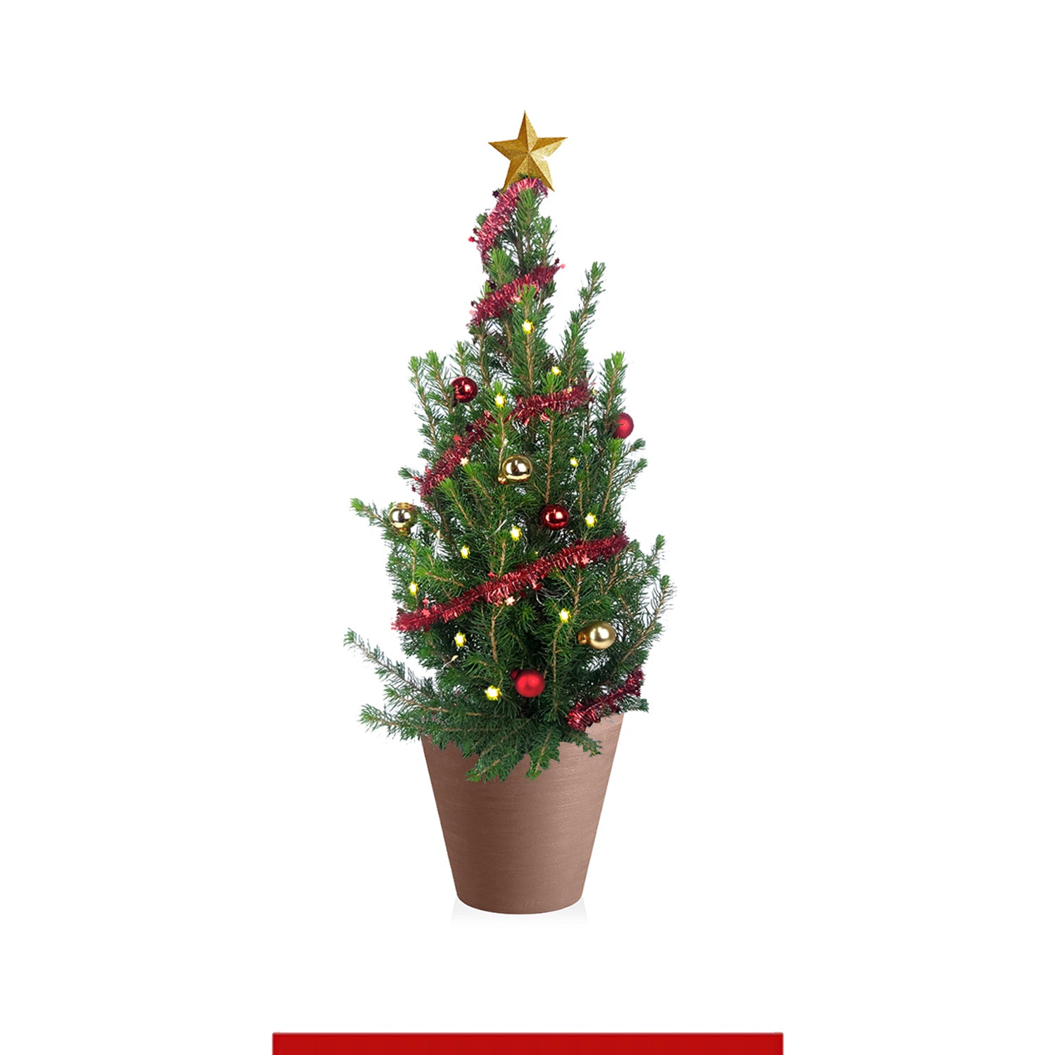 Natale