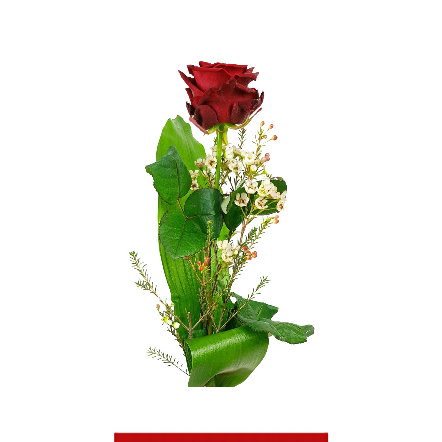 San Valentino