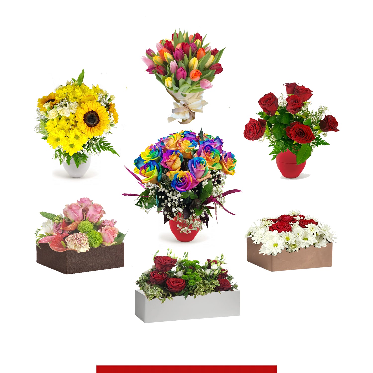 Tutti i fiori