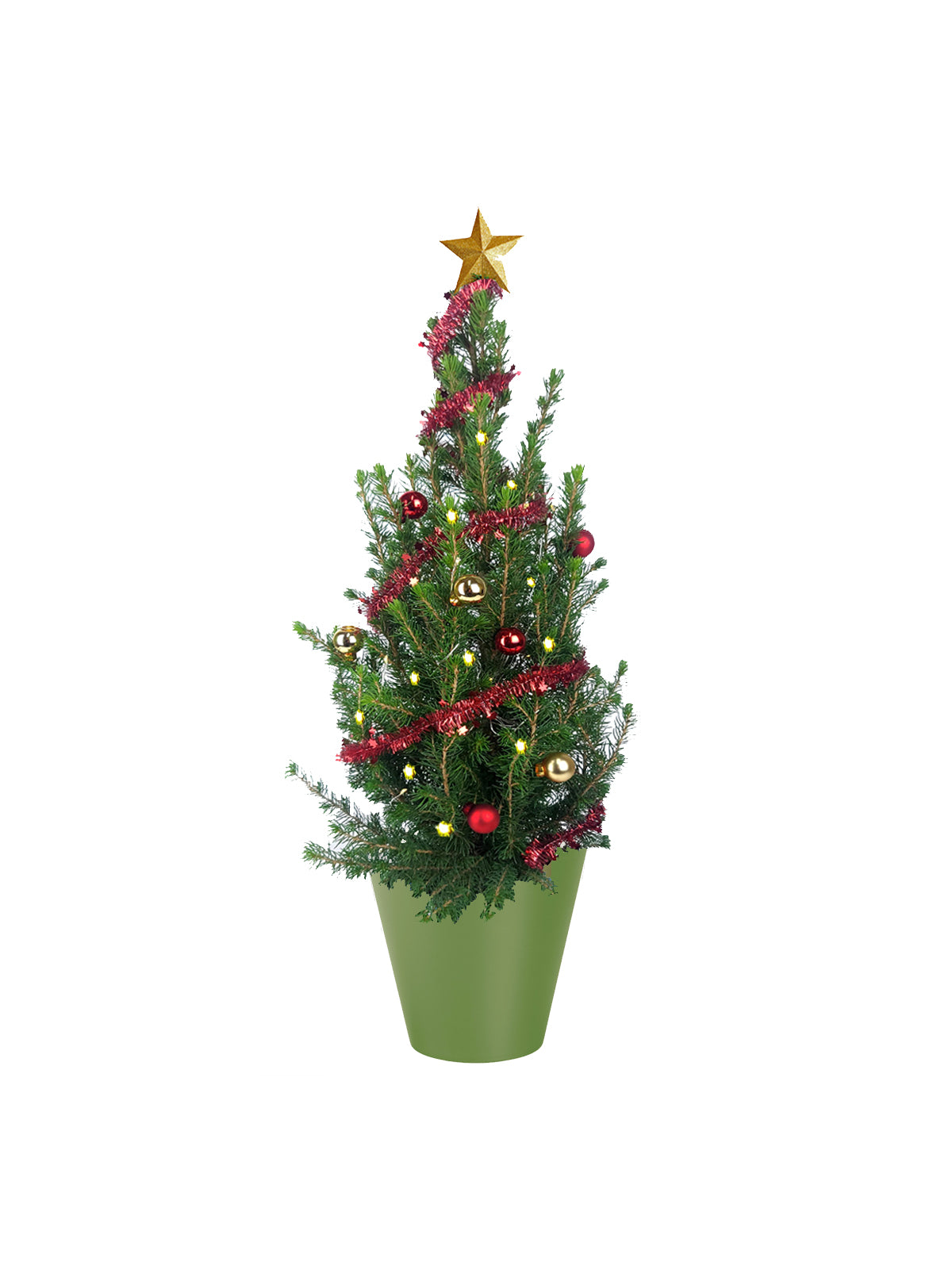 Albero di Natale