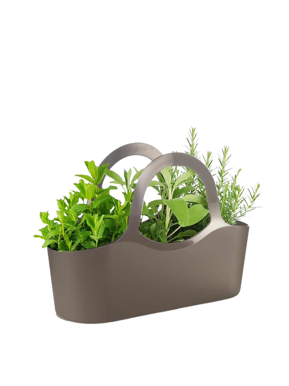Borsa di Aromatiche