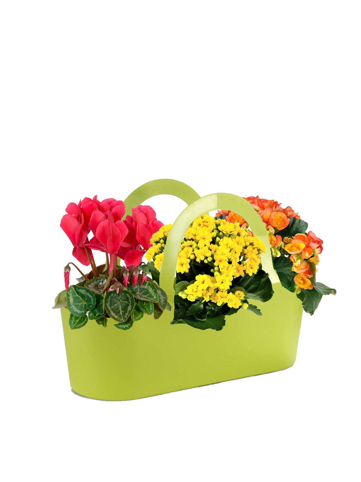 Borsa Fiorita