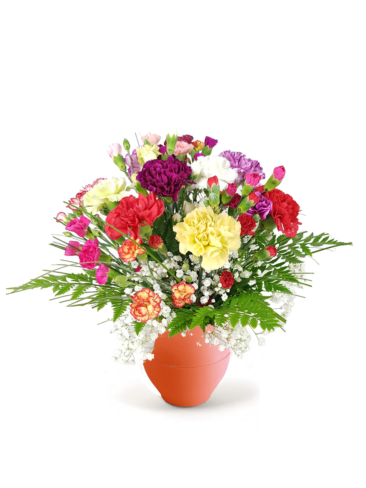 Bouquet di Garofani
