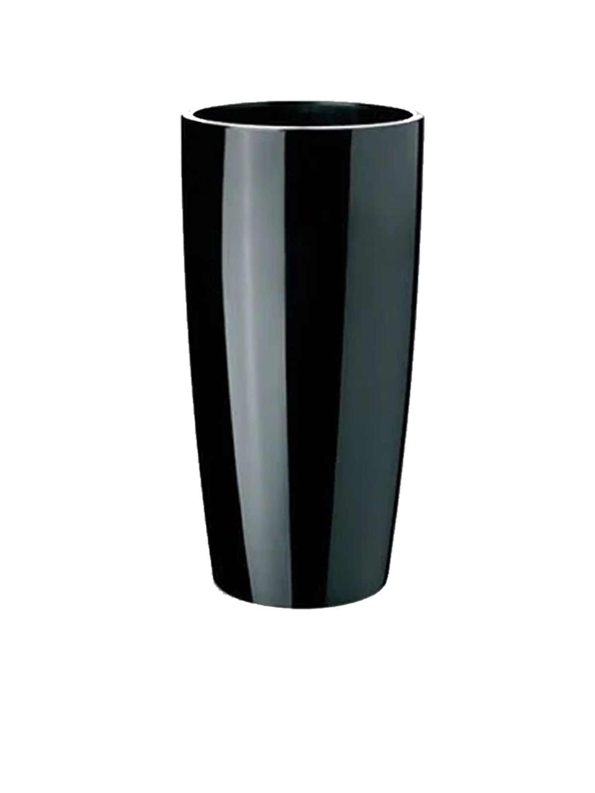 Musa Ø 35