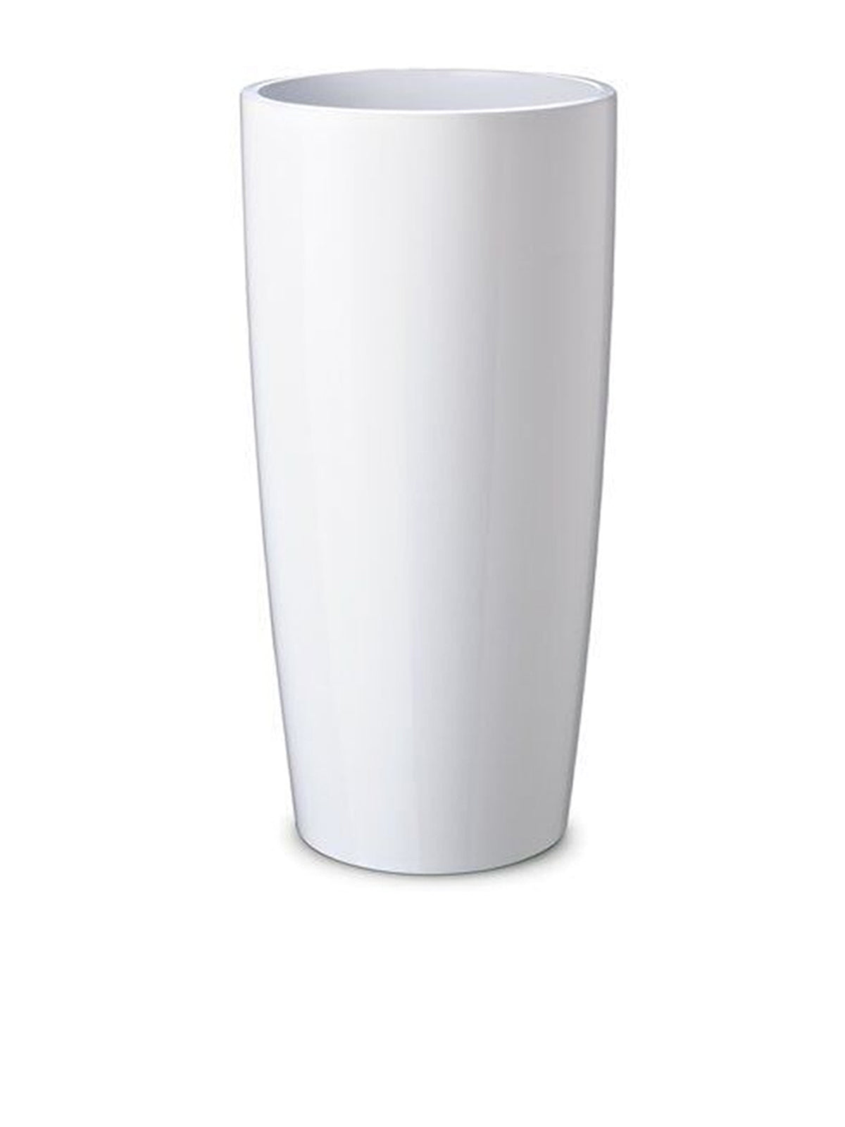 Musa Ø 35