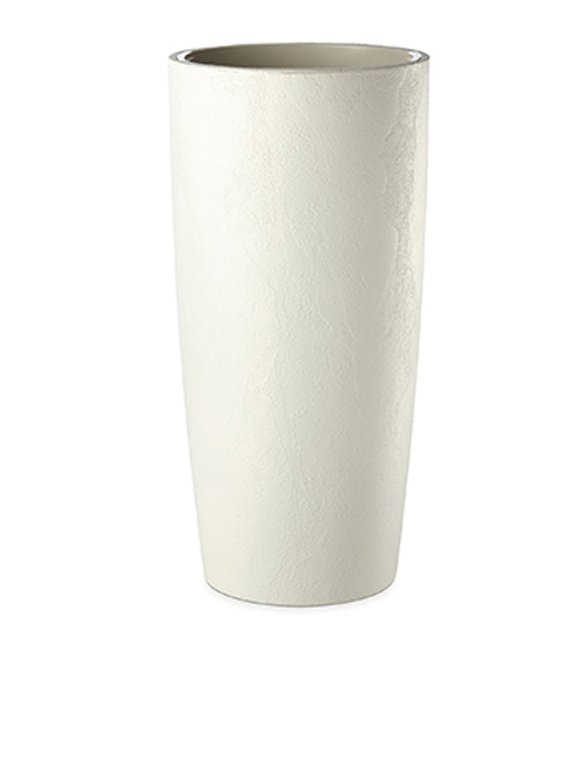 Musa Ø 35