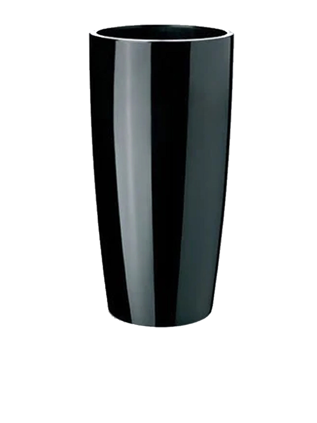 Musa Ø 35