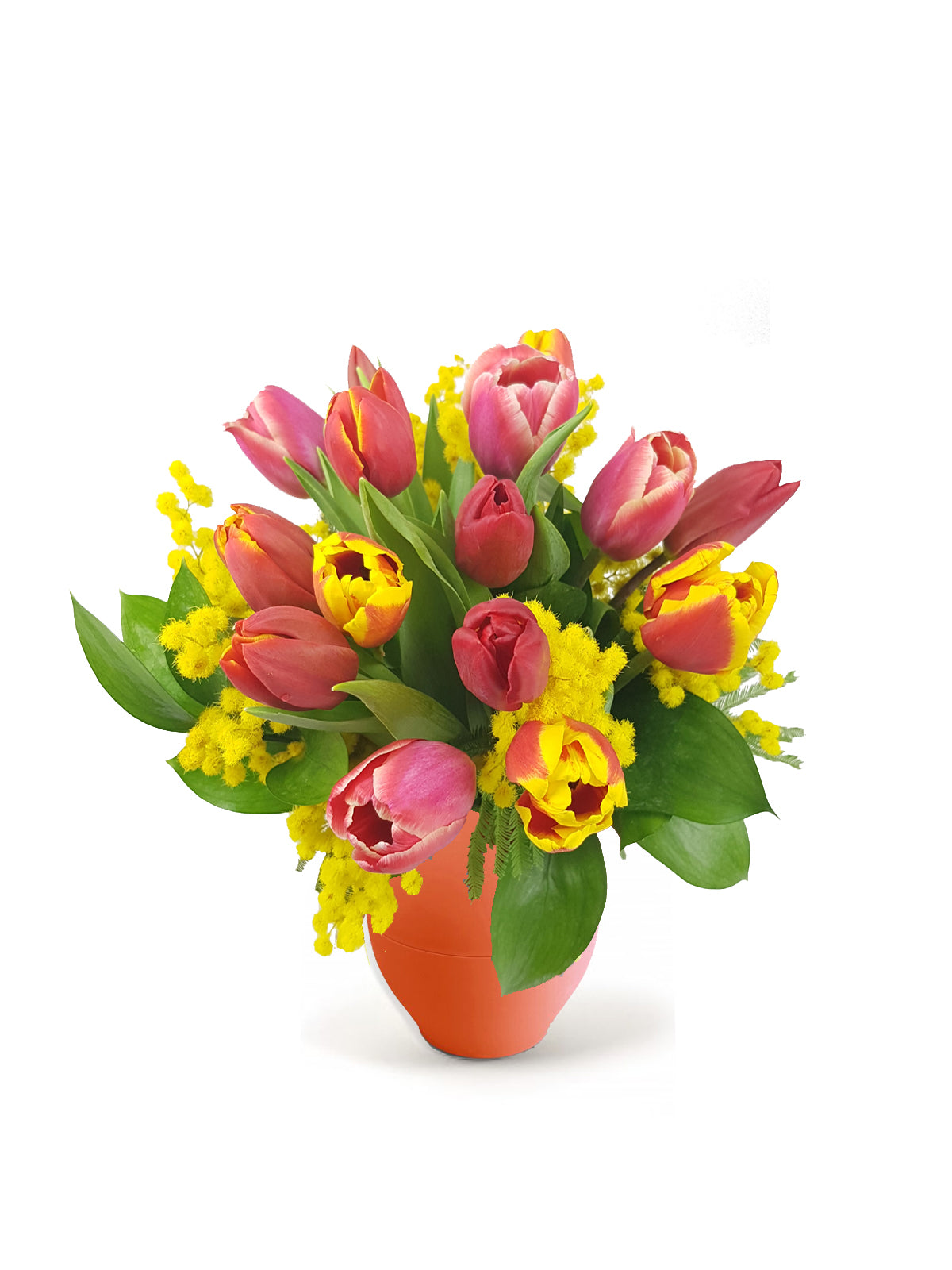 Tulipani con Mimosa