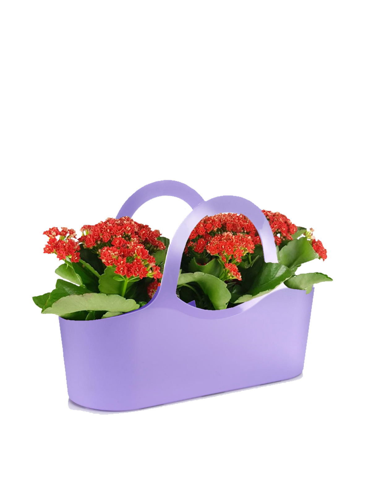Borsa del Sorriso