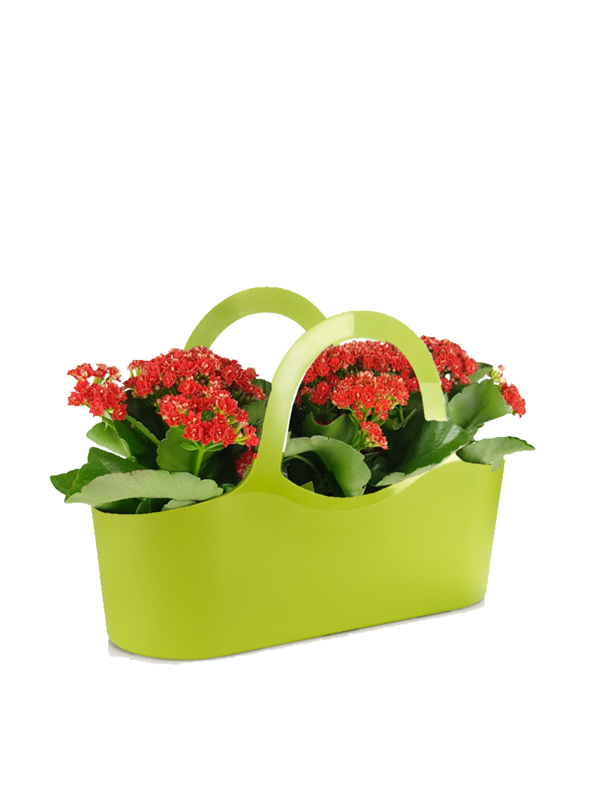 Borsa del Sorriso