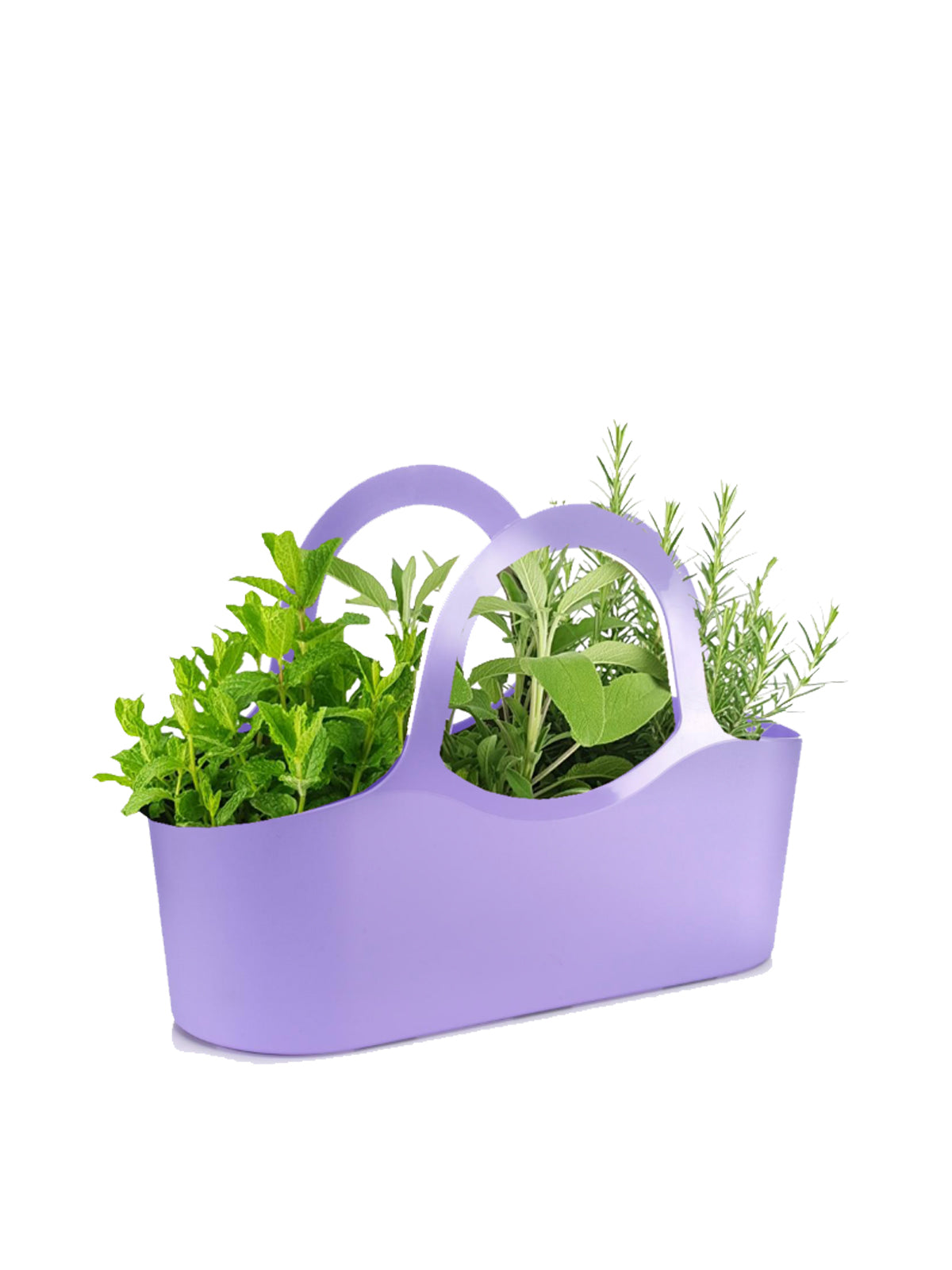 Borsa di Aromatiche