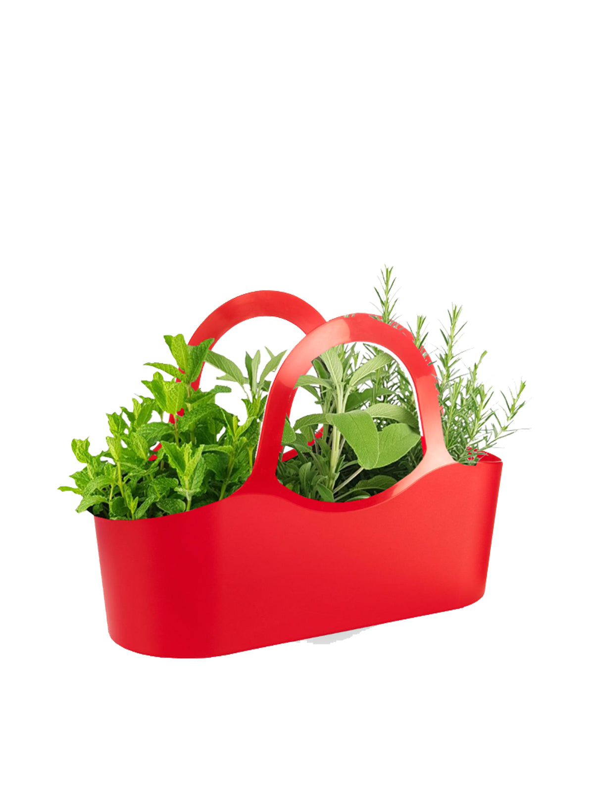 Borsa di Aromatiche