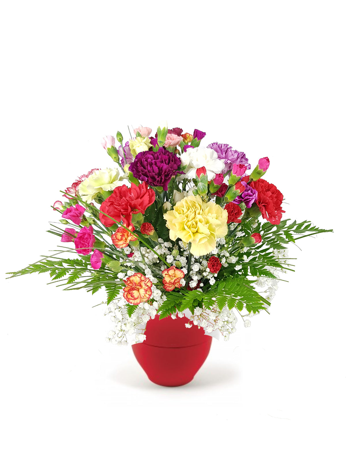 Bouquet di Garofani