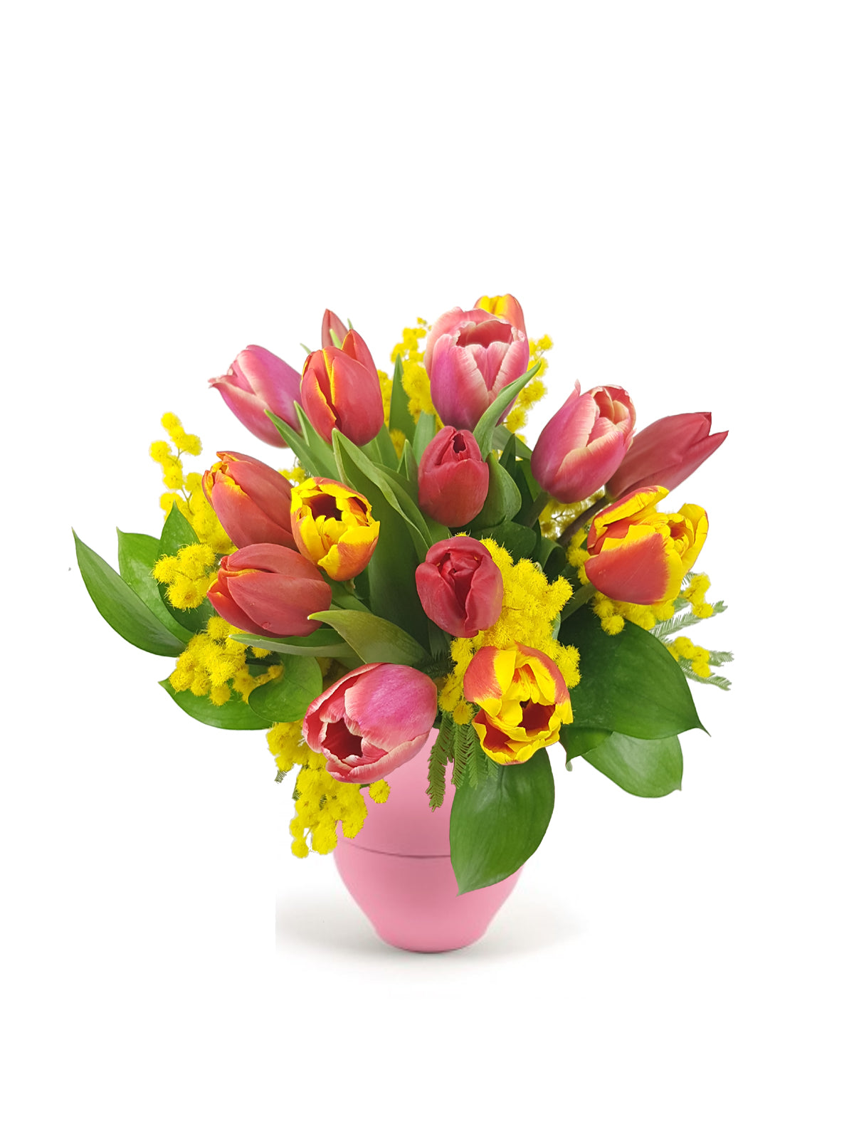 Tulipani con Mimosa