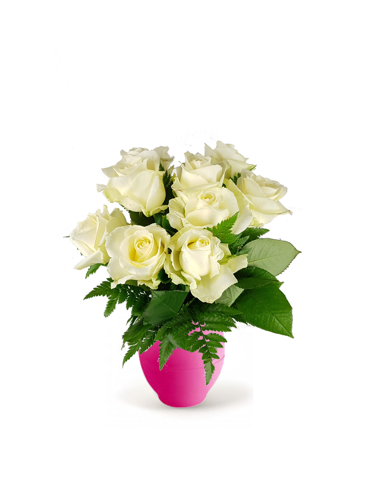 Le Sette Rose Bianche