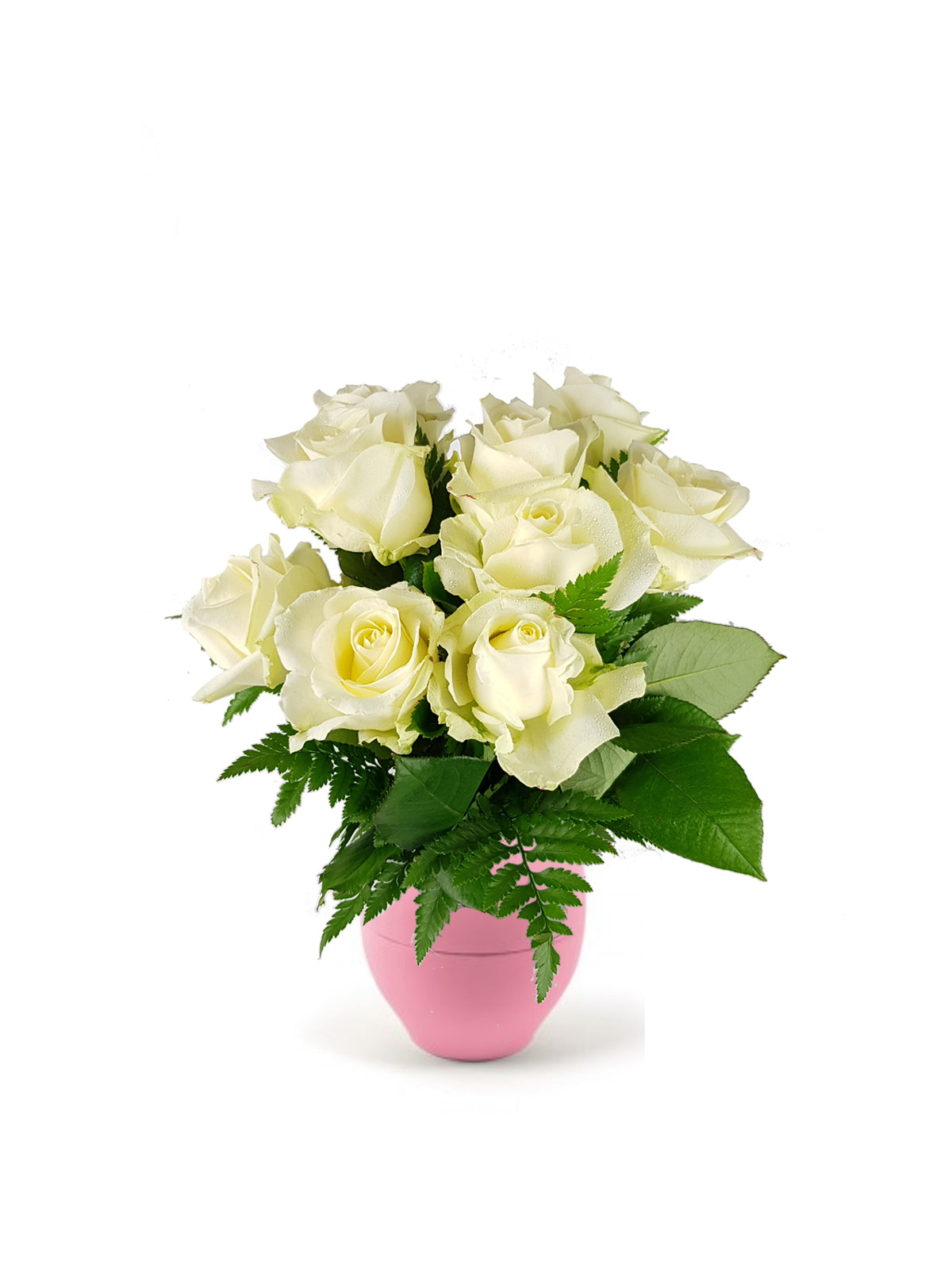 Le Sette Rose Bianche