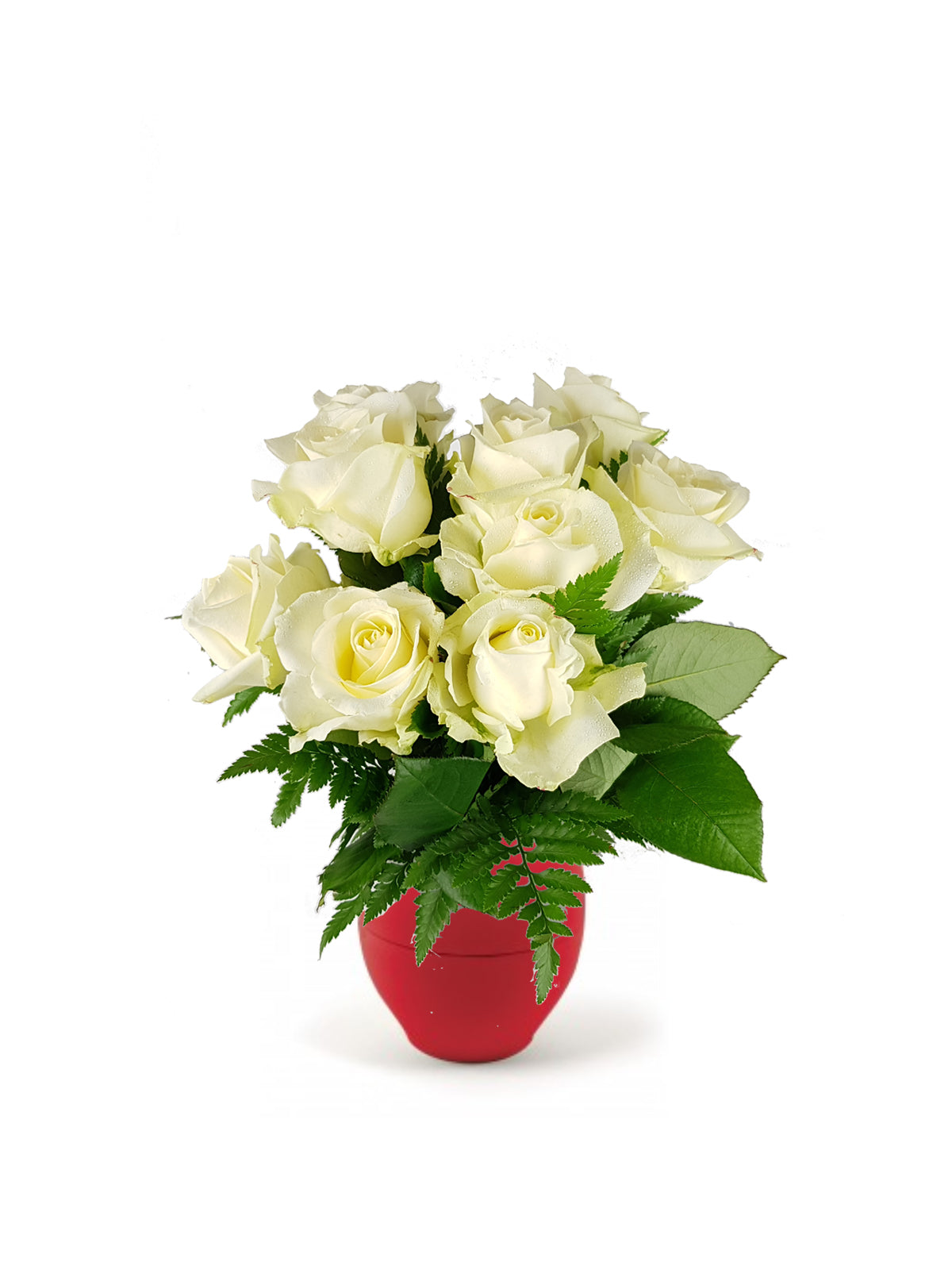 Le Sette Rose Bianche