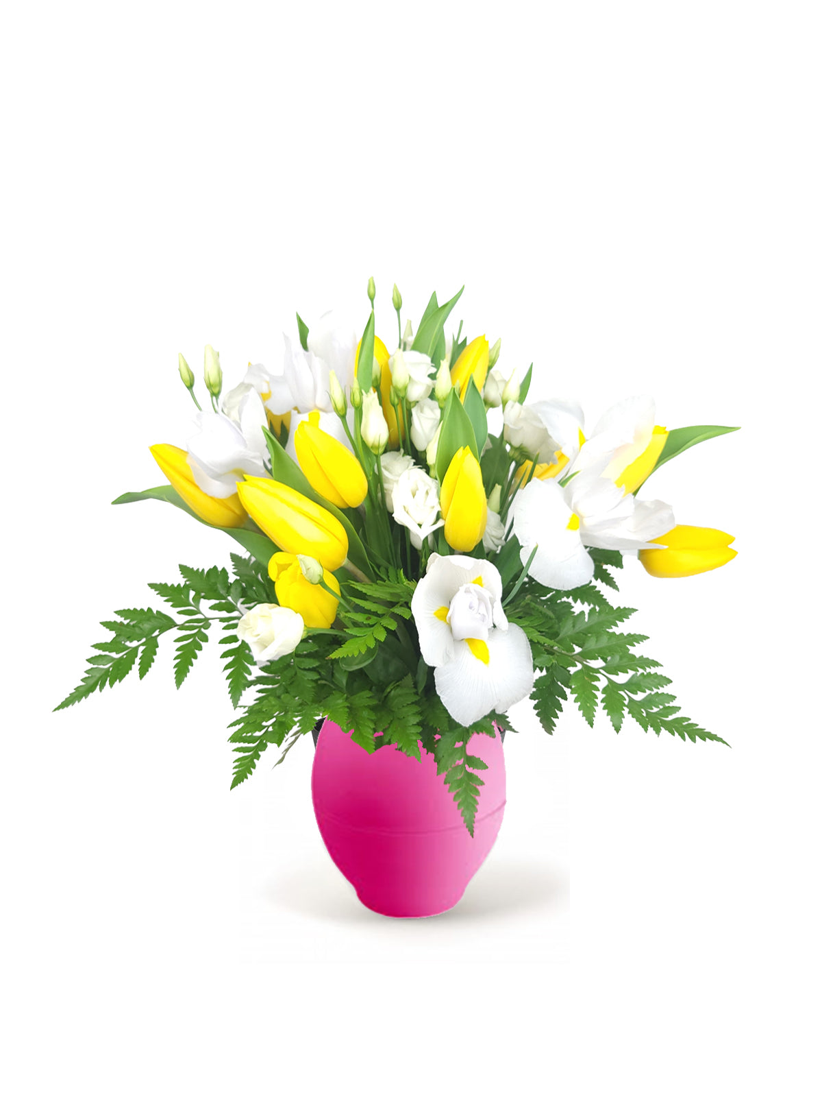 Tulipani Gialli in Bianco
